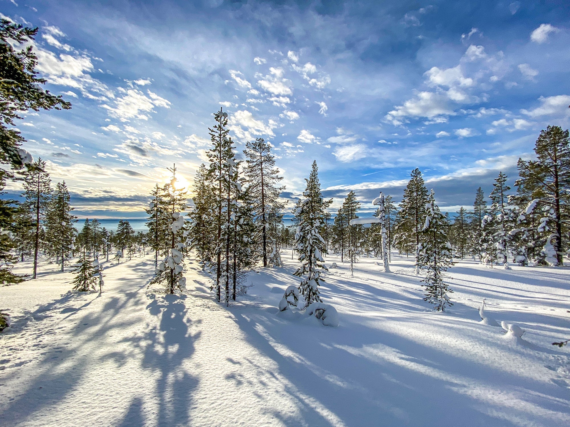 Opening a New Warehouse in Sweden